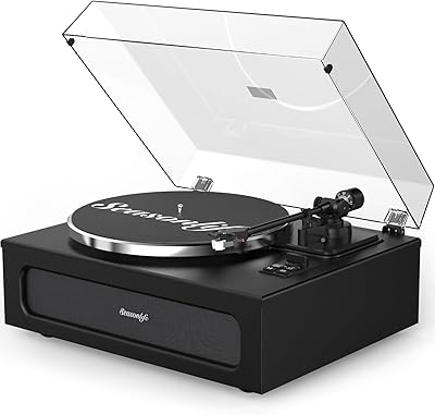 Seasonlife HQ-KZ018 Turntable