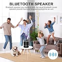 Aipmoz Security WiFi Camera in Bluetooth Speaker — image 4