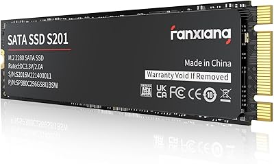 fanxiang S201 2TB SSD