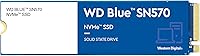 Western Digital 1TB WD Blue SN570 NVMe SSD — image 1