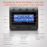 Zanflare C4 Smart Battery Charger — image 3