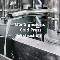 RATED GREEN Tamanu Oil Soothing Scalp Pack 6.76oz — image 3