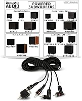 Acoustic Audio PSW400-10 10-Inch Powered Subwoofer — image 5