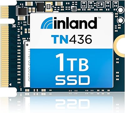 INLAND TN436 1TB M.2 2230 SSD