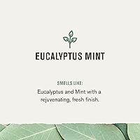 Every Man Jack Eucalyptus Mint Body Wash 33.8oz 2-Pack — image 5