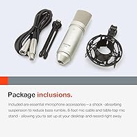 Tascam TM-80 Condenser Microphone — image 6