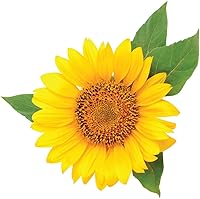 CHI ShineCare Smoothing Conditioner 25oz — image 8