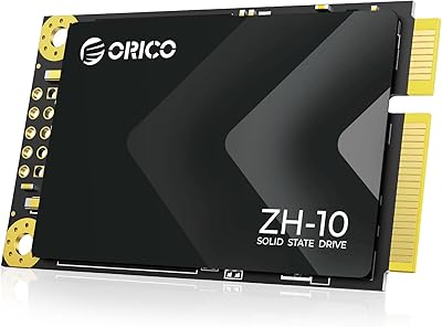 ORICO 256GB mSATA SSD