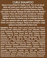 Surface Hair Curls Moisturizing Shampoo 9.6oz — image 7