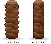 DermOrganic Original Argan Oil of Morocco Leave-In Hair Treatment 4 oz — image 4