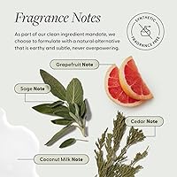 Arey Shower Duo Daily Wash Shampoo and Smooth Conditioner Set — image 4