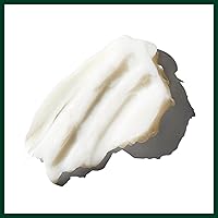 Aveda Brilliant Conditioner 6.7oz — image 7