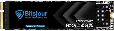 Bitsjour 1TB Internal SSD for MacBook Pro A1425 A1398 (2012-2013)