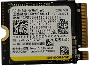 OEM WD SN740 256GB M.2 NVMe SSD Review
