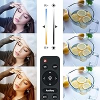 MOUNTDOG Softbox Lighting Kit — image 2