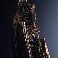 Paco Rabanne Phantom Intense Eau De Parfum 1.7oz — image 8