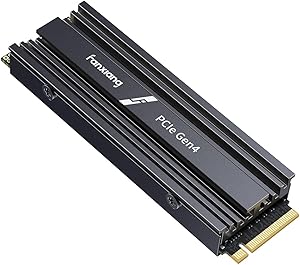 fanxiang S880ER 1TB NVMe SSD