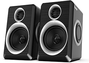 Cinnkeyi C5202 2.0 Computer Speakers