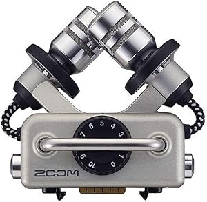 Zoom XYH-5 X/Y Capsule