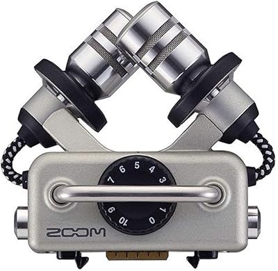 Zoom XYH-5 X/Y Capsule