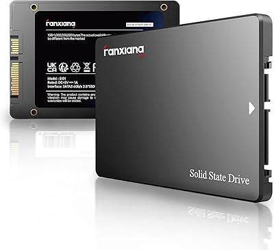 fanxiang S101 500GB SSD