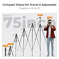 K&F CONCEPT KF09.126 Camera Tripod 75″ — image 4