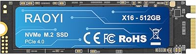RAOYI 512GB NVMe M.2 PCIe 4.0 SSD