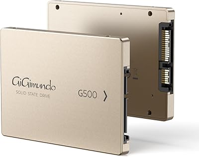 GiGimundo G500 1TB 2.5″ SATA SSD