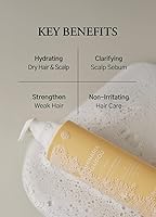 Laferme Laminaria Shampoo, 16.9oz, Pine Eucalyptus — image 4