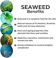 Repechage Algo Mist Hydrating Seaweed Facial Spray 6 fl oz — image 6