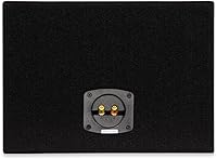 Goldwood TR8F 8″ Single Truck Box Speaker Cabinet — image 3