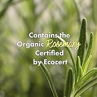 RATED GREEN Real Mary Purifying Scalp Scaler 6.76 fl oz — image 2