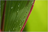 Nikon NIKKOR Z DX 18-140mm VR Lens — image 8