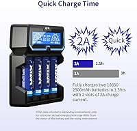 XTAR X4 2A Fast AC Power Battery Charger — image 3
