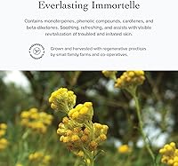 evanhealy Wild Carrot Immortelle Eye Balm 0.5oz — image 5