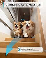 blurams Dome Flare A31S Pet Camera — image 4