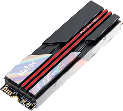 Netac NV7000 2TB PCIe 4.0 NVMe SSD with Heatsink