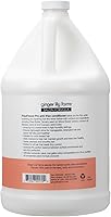 Ginger Lily Farms FrizzFreeze Pro Anti-Frizz Conditioner 1 Gallon — image 2