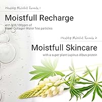 ETUDE Moistfull Collagen Cream 2.53 Fl Oz — image 3