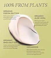 Ingreendients Organic Shea Butter Hand & Body Lotion 9.6oz — image 2