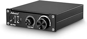 Nobsound G2 PRO TPA3255 Hi-Fi 300W Subwoofer Power Amplifier Mono Channel Review
