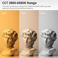 AMBITFUL AL-50 Softbox Photography Lighting Kit — image 4