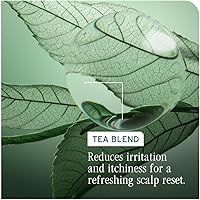 Biolage Scalp Sync Oil Balancing Serum 1.6 Fl Oz — image 7