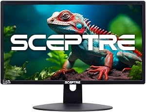 Sceptre E205W-16003R 20-inch LED Monitor Review