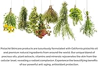 Pistaché Skincare Pistachio Oil Whipped Body Butter 8 oz — image 5