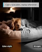 blurams Dome Flare A31S Pet Camera — image 3