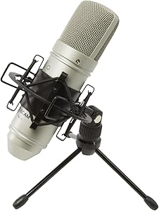 Tascam TM-80 Condenser Microphone Review