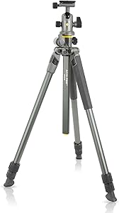 Vanguard Alta Pro 2+ 263AB 100 Tripod Review