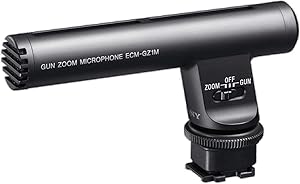 Sony ECMGZ1M.SYH Gun Zoom Microphone Review