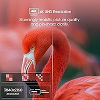 Hisense 55A6H 55-Inch 4K UHD Smart Google TV — image 9